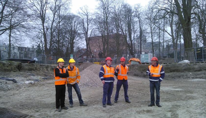 Toezicht oude bomen Den Bosch